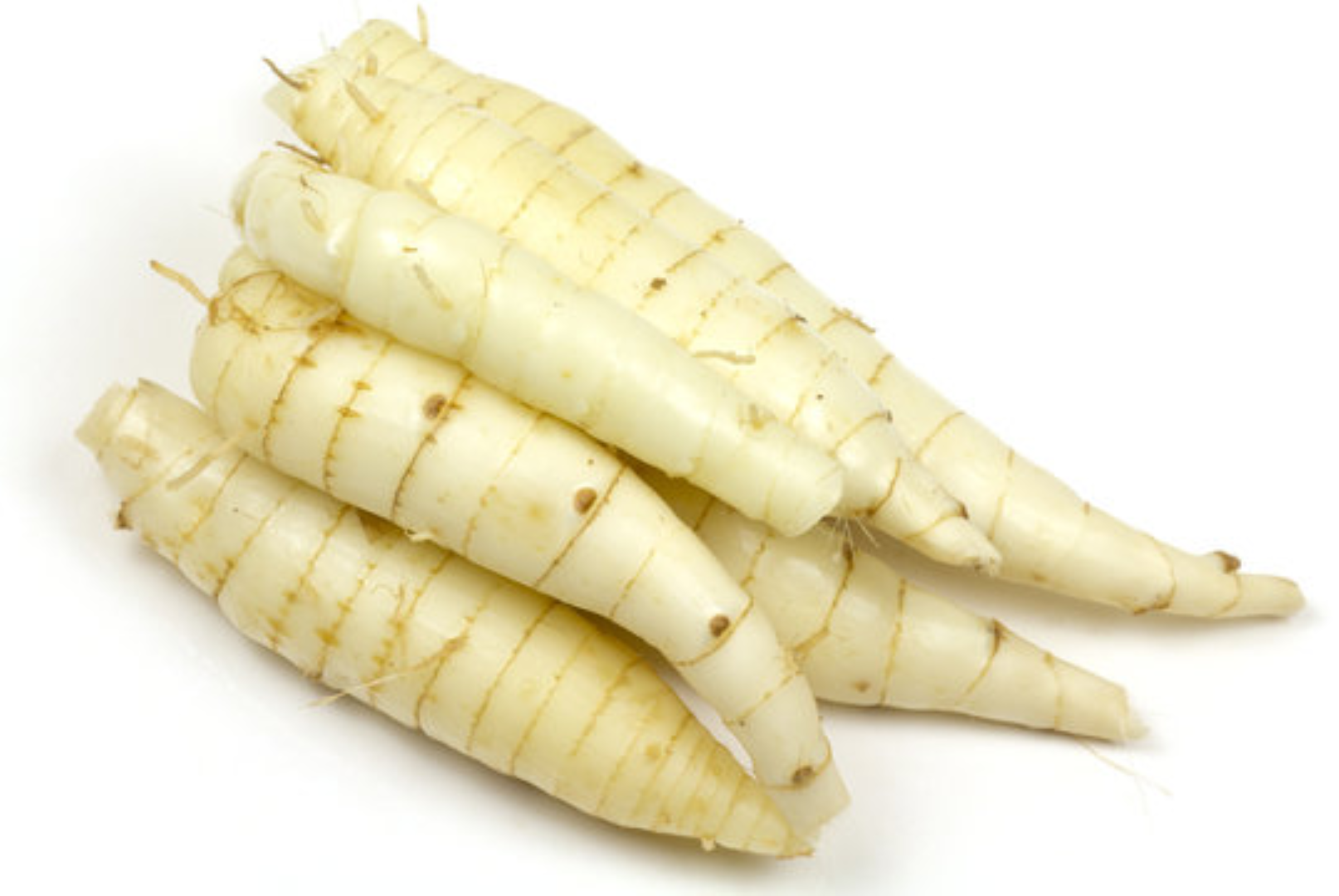 FRESH ARROWROOT